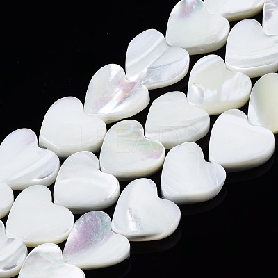 Natural Trochid Shell/Trochus Shell Beads Strands SSHEL-N034-99B-B01-1