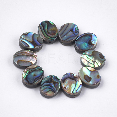 Abalone Shell/Paua Shell Beads SSHEL-T008-04-1