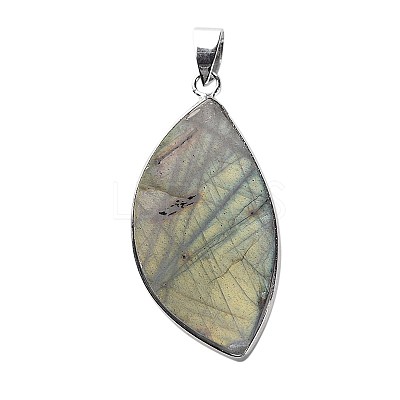 Natural Labradorite Teardrop Pendants G-L350-03-1