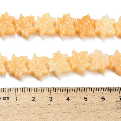 Synthetic Coral Dyed Carved Beads BSHE-H114-02E-1