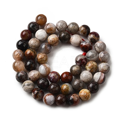 Natural Mexico Crazy Agate Beads Strands G-L615-A01-01-1