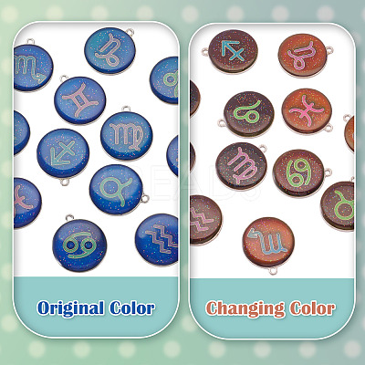 12Pcs 12 Constellations Epoxy Resin Pendants FIND-TAC0027-38-1