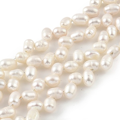 Natural Cultured Freshwater Pearl Beads Strands PEAR-A006-22-X-1