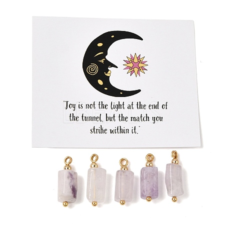 Natural Lepidolite Pendants GG-CBACE45-02G-09-1