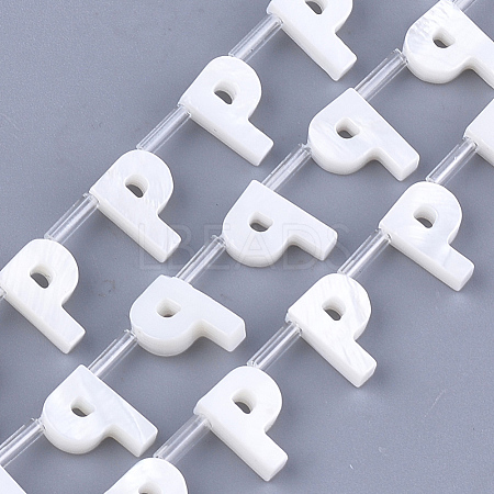 Freshwater Shell Beads X-SHEL-T012-59P-1