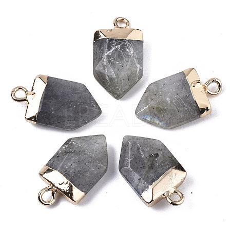 Natural Labradorite Pointed Pendants G-N326-34C-1