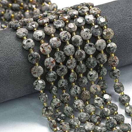 Natural Fluorescent Syenite Rock(Glow under UV Light) Beads Strands G-C116-A18-02-1
