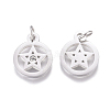 316 Surgical Stainless Steel Charms STAS-L242-04P-2