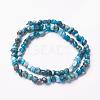 Natural Apatite Beads Strands G-F506-12-2
