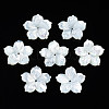 Natural White Shell Beads SSHEL-N027-131C-01-1