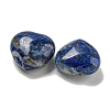 Natural Lapis Lazuli Beads G-P531-A11-01-2