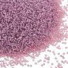 MIYUKI Round Rocailles Beads X-SEED-G009-RR2373-1