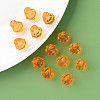 Transparent Acrylic Pendants MACR-S373-125-B08-7
