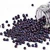 TOHO 11/0 Round Beads X-SEED-TR11-0704-1