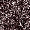 TOHO 11/0 Round Beads SEED-JPTR11-0026BF-2