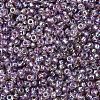 MIYUKI Round Rocailles Beads X-SEED-G007-RR1012-3