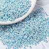 MIYUKI Round Rocailles Beads SEED-X0055-RR0430-1