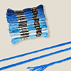 6-Ply Polyester Embroidery Floss OCOR-WH20074-01A-06-5