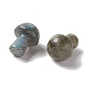 Natural Labradorite GuaSha Stone G-A205-26B-3