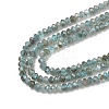 Natural Apatite Beads Strands G-G189-C03-02-4