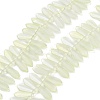 Electroplate Glass Beads Strands EGLA-C005-01A-FR02-1