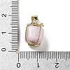 Natural Kunzite Gift Box Charms G-P523-01G-04-3