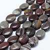 Natural Polychrome Jasper/Picasso Stone/Picasso Jasper Beads Strands G-L472-B-05-18x13mm-1