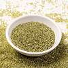 MIYUKI Round Rocailles Beads SEED-JP0010-RR1125-4