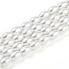 Baking Paint Pearlized Glass Pearl Bead Strands X-HY-T002-01A-01-3
