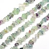 Natural Fluorite Chip Bead Strands G-M205-08-1