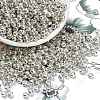 6/0 Glass Seed Beads E0690044-1