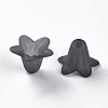 Transparent Acrylic Beads PLF018-17-5