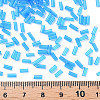 Transparent Glass Bugle Beads SEED-N005-001-C10-4