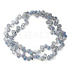 Electroplate Glass Beads Strands EGLA-D030-17R-2