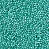 MIYUKI Round Rocailles Beads X-SEED-G008-RR0571-4