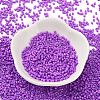Baking Paint Glass Seed Beads X-SEED-S042-05B-72-2