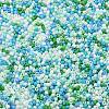 Baking Paint Glass Seed Beads SEED-S042-05B-52-3