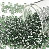 TOHO Round Seed Beads SEED-XTR08-2202-1