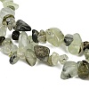 Prehnite Chip Bead Strands G-M205-11-3
