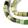 Natural Serpentine Beads Strands G-T141-90B-3