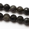 Grade AA Natural Gemstone Labradorite Faceted Round Beads Strands G-E251-32-12mm-2