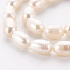 Natural Cultured Freshwater Pearl Beads Strands X-PEAR-S012-41D-3