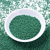 MIYUKI Delica Beads SEED-J020-DB2127-2