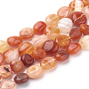 Natural Red Botswana Agate Beads Strands G-T064-31-1