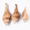 Natural Conch Shell Beads SSHEL-T015-03-1
