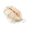 Natural Cowrie Shell Copper Wire Wrapped Pendants PALLOY-TA00196-02-5
