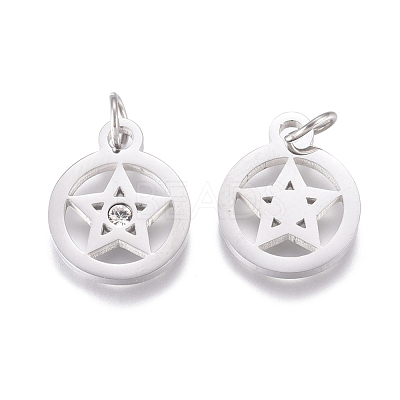 316 Surgical Stainless Steel Charms STAS-L242-04P-1