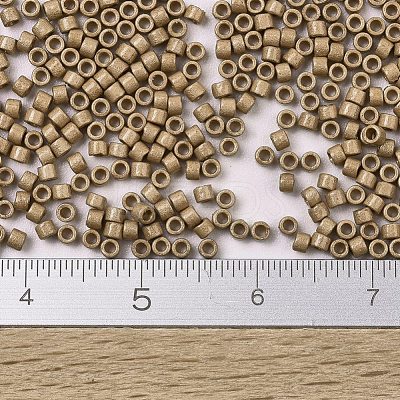 MIYUKI Delica Beads SEED-X0054-DB1834F-1