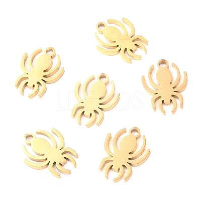 304 Stainless Steel Charms STAS-O142-47G-1