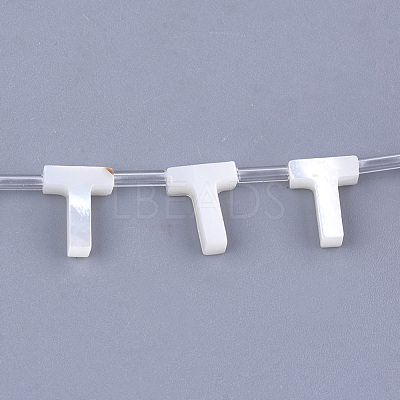 Natural Sea Shell Beads SHEL-T012-60T-1